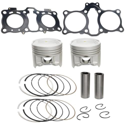 sXgOLbgƃV_[wbhx[XKXPbg GW250 GSX R250 GSX250R DL250 ɑΉ(gasket and piston ki)
