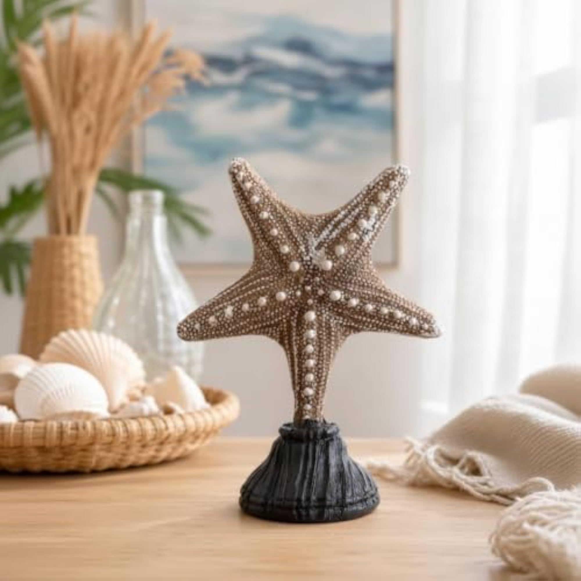 Craft Shells, Decorative Natural Shells for Home Décor