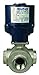 Dixon BV3IGLF-0381-EG 316SS 2PC L-Port Electric FNPT Actuated Ball Valve, 24 VDC, N4, 3/8"