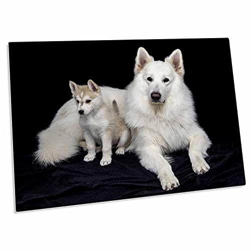 3dRose Dog - Imagen de Pastor Blanco - Desk Pad