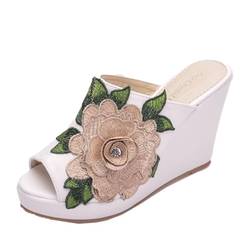 [uEP] fB[X r[`T_ T_ r[` EFbW\[  J[LF r t[ ~[ ₷ ɂȂ ~ Xbp 24.5cm  JWA ItBX p   ԕ  