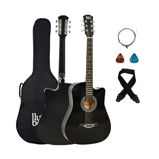 BLUEBERRY B-38C, Acoustic Guitar Kit with Bag, Strap, One Pack Strings And 2 Picks - 38 Inch (Black)