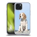 Derechos de autor:Sentado Cachorro Beagle - AnetaPics/ShutterstockDerechos de autor: Sentado Beagle Puppy - Anetapics/Shutterstock