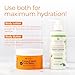 Tree to Tub Shea Body Butter for Dry, Extremely Dry, Sensitive Skin - Moisturizing Body Cream for Women & Men, Hydrating Body Lotion Moisturizer w/Vitamin C, Organic Cocoa, Citrus Scent