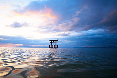 Tamron Lente A037, 17-35 mm F / 2.8-4 Di OSD negro