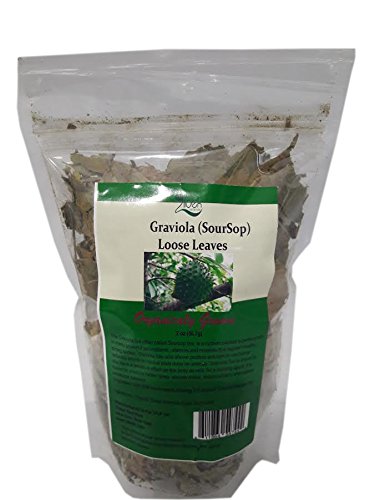 All natural Grown Graviola (Sour Sop) Dried Loose Leaves Tea 2 oz Package leaves in Pouch
