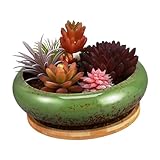 Jardinière polyvalente : cette jardinière peut abriter une variété de plantes comme des cactus et des fleurs, servant de charmante pièce décorative dans votre maison, jardinière peu profonde avec drainage, pots de plantes succulentes