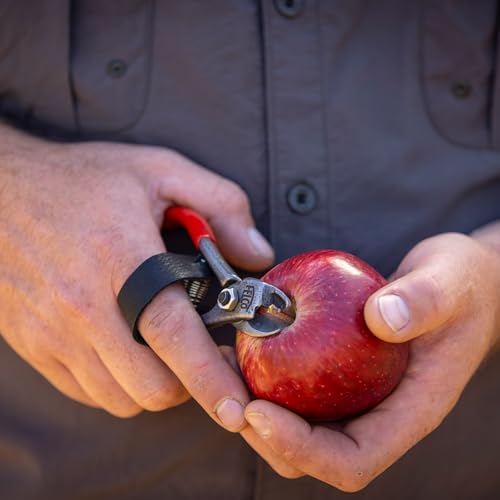 FELCO 330 - Citrus Clipper - Tijera para Fruta miniatura 3