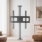 Materiale di alta qualità: questo supporto per TV è realizzato in acciaio inossidabile di alta qualità, offre un design elegante e moderno. Il robusto tubo in acciaio inossidabile largo 4,8 cm garantisce stabilità, evitando oscillazioni migliorando la capacità di carico e la longevità. Perfetto per organizzare il tuo spazio di intrattenimento, questo supporto TV combina durata ed eleganza per qualsiasi ambiente salotto.