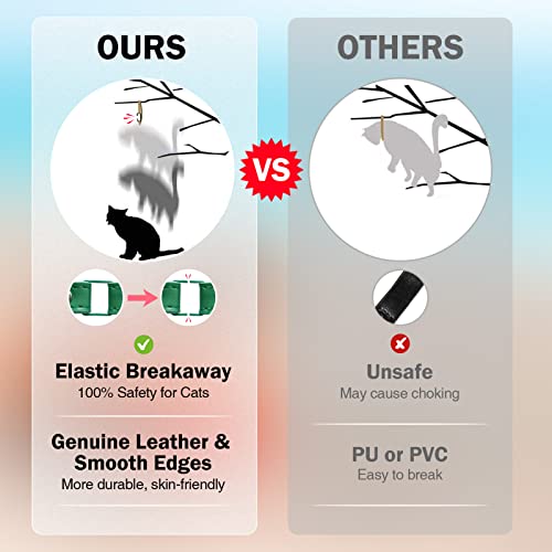 DILLYBUD Coleiras de couro para gatos meninos e meninas com sino e cinto elástico de segurança, rebi