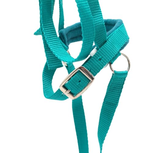 PFIFF 103126 Trensenzaum „Lotty“ für Spiel- & Holzpferde, Spieltrense, Trense für Spielpferd, Einheitsgröße, Türkis