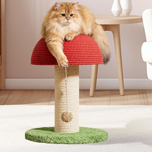 Arbre à chat solide pour canaliser l'énergie et stimuler les griffes - 3
