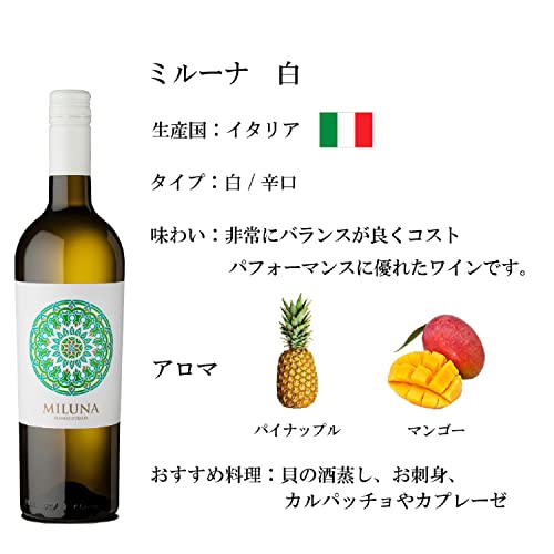 エノテカ ワインノマド 赤白ワインセット 750ml×6本