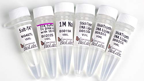 salt t4 dna ligase 20 000 units amazon com industrial scientific