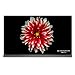 LG Electronics LG SIGNATURE OLED65G7P 65-Inch 4K Ultra HD Smart OLED TV (2017 Model)