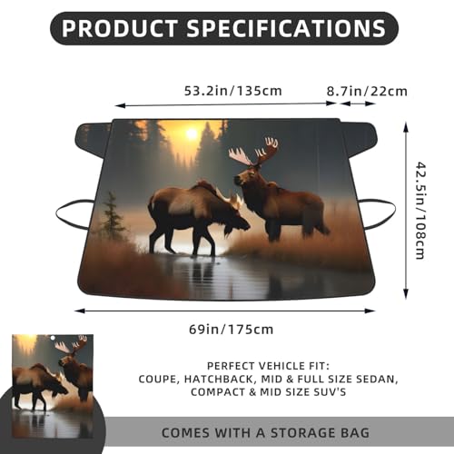 Protector de escarcha para coche ideal en mañanas frías de montaña 5