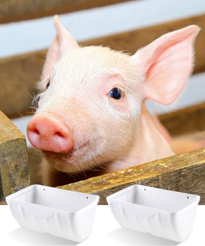 Comedouro para frango, pacote com 2, alimentadores e bebedouros de aves, alimentador de cabra suspen