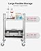 VEVOR Stainless Steel Rolling Cart, 2-Tier Metal Utility Cart with Lockable Wheels, Medical Serving Trolley Clinic Tray, Mobile Service Cart for Hospital, Lab, Restaurant, Kitchen, Salon