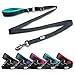 Black Rhino - Dog Leash Adjustable Length (3-5 Feet) with Soft Neoprene Padded Handle | Heavy Duty Lead for Easy Control | Small Medium Large Breeds | Reflective Stitching (Aqua/Grey)