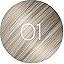 01|Silver