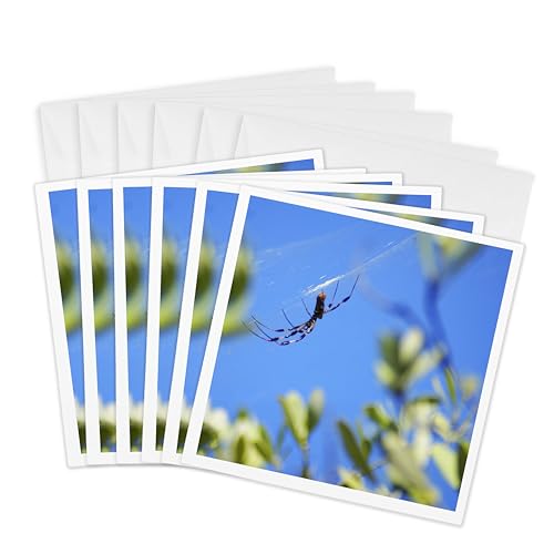 Cartes de vœux araignée 3dRose | Lot de 6 au format 6x6 cm pour Halloween