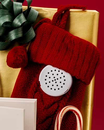 VoiceGift 20 Second Multi-Message Voice Recorder, Record Custom Messages for Plush Toy, Stuffed Bear Toy, Baby Doll Toy, and Pillow - 2 Pack - Thumbnail 2