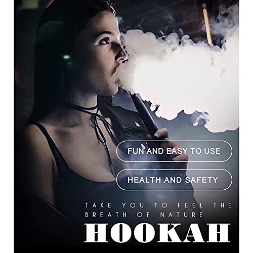 Huanxin Hookah Raucher-Set, 30,5 cm, 2 Schläuche, Shisha Smoker, mit Vase, aus Glas, leicht zu demontieren und… – Bild 7