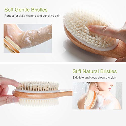 Shower Brush, Bath Body Exfoliating Cleaner Brushes with Long Wooden Handle, Natural Soft and Stiff Massage Bristles for Wet/Dry brushing, Back & Foot Cleaning Scrubber for Women & Man (Wooden) - Thumbnail 4
