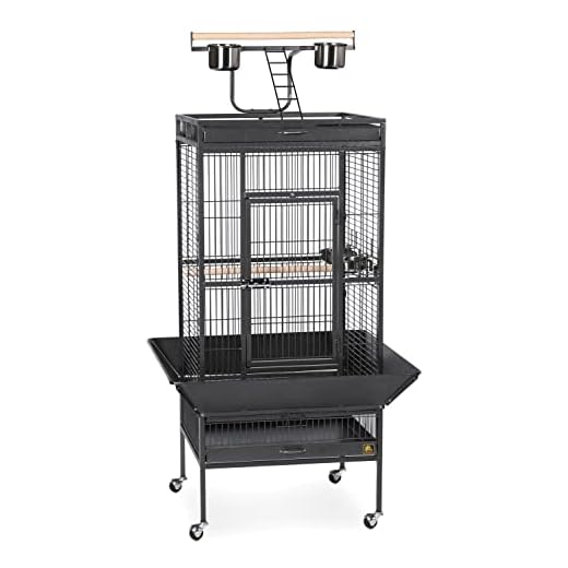 Prevue Pet Products Parrot Playtop Manor Bird Cage with Movable Stand and Activity Play Top for Large Birds