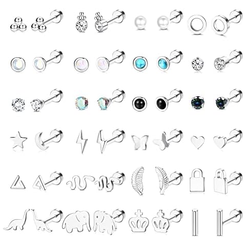 Chriscoco 24Pairs Stud Earrings for Women Girls Stainless Steel Cartilage Earrings Set Silver Gold Plated Stud Earrings Cover