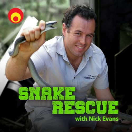 Black Mamba in stables storeroom - where's Nick Evans? Podcast Por arte de portada