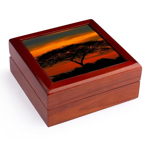 3dRose Sunrise over acacia trees, Etosha NP, Namibia, Africa., Jewelry Box jb-188027-1