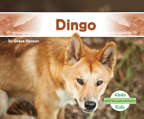 Dingo (Australian Animals)
