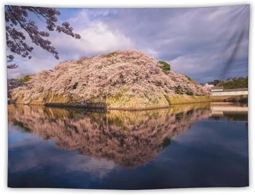 滋賀県 湖に映る彦根城 タペストリー 背景布 装飾布 日本の風景写真 ポスター 大判 壁掛け 壁飾り インテリア 多機能 おしゃれ 部屋や窓の飾り 模様替え リビングルーム ベッドルーム 75×100cm