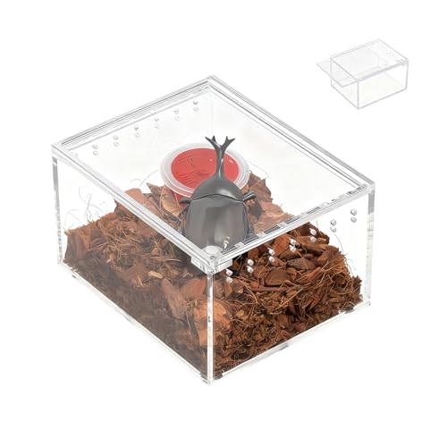 �w偎���P�[�X - �����ɐB���a�ώ@�{�b�N�X - �A�N�����w�r�P�[�W�G���N���[�W���[,�g�J�Q �J�G�� ������ ���h�J�� �J�^�c���� �J�� �p �ώ@ �ɐB ���a