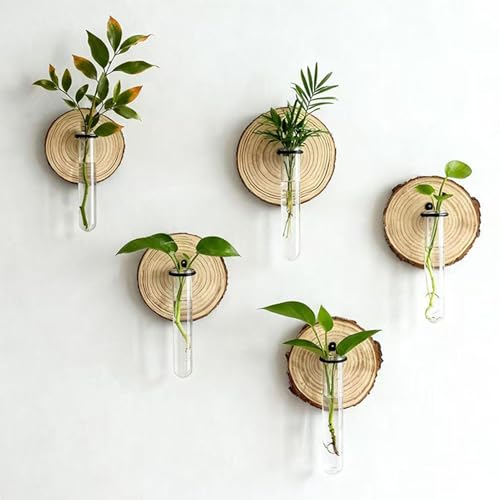 Soporte de propagación de pared para multiplicar esquejes sin ocupar espacio 4