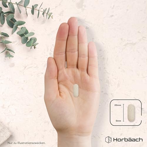 Magnesium Kalium Komplex mit Calcium Zink | 6 Monate Vorrat - 180 Vegane Tabletten | Hochdosiert | Basenpulver Tabletten | von Horbaach