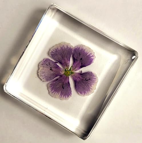 Image of 38mm Real Purple Geranium Flower in Crystal Clear Lucite Resin Specimen Botanist Herb Herbarium Crafts Collection for Botany Science Education & Desk Ornament Display Small Paperweight