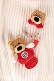 Rasselring FC Bayern Bear Berni 14cm