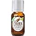 Cinnamon Bark - 100% Pure, Best Therapeutic Grade Essential Oil - 10ml