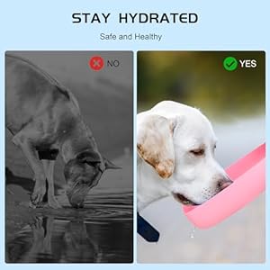 19oz Portable Water Bowl for Dog, 180° Foldable Dog Water Bottle with 3.2inch Big Drinking Bowl for Big Dogs Walking, Hiking, Lightweight, Leak-Proof, BPA-Free