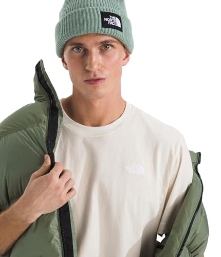 Image of THE NORTH FACE Men's Evolution Simple Dome Short-sleeve Tee (Standard & Big Size) | Cotton Shirt With the Classic Logo