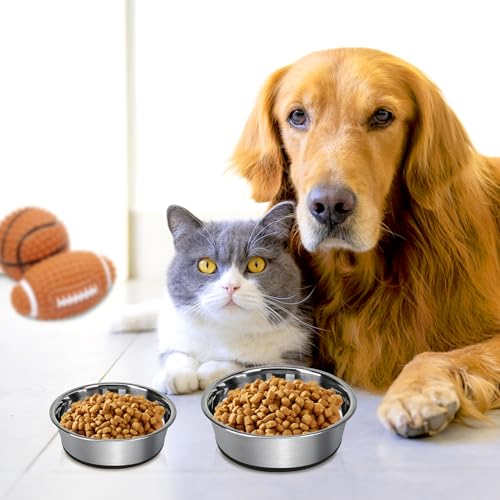 Grehge Steel Anti-Slip Dog Bowls,Non-Slip Stainless Steel Pet Bowl with Foot Mat - Perfect for Mess-Free Mealtime,Quiet Pet Bowls for Cats and Dogs, Dry and Wet Foods,(5.5 inches, 1PCS) - Thumbnail 6