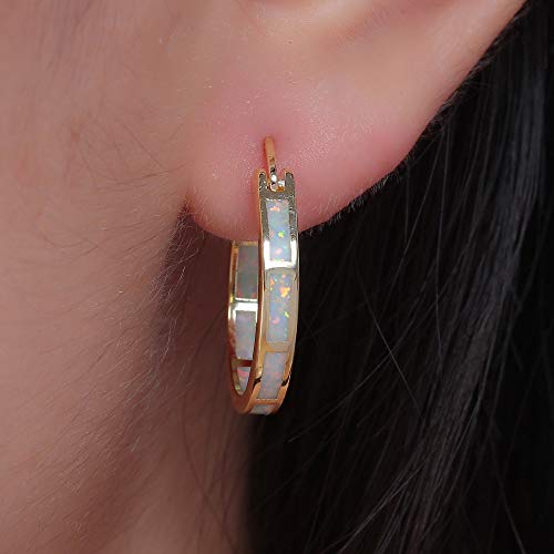 Cinily Hoop Earrings For Women Girls,18K Yellow Gold Opal Earrings Ear Hoops Hypoallergenic Earring Gemstone Round Hoops For Ladies,Mom Small Hoop Earring #TOP4