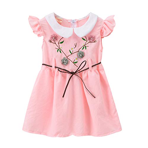 Girls Dress&Skirt,Toddler Baby Kids Girls Ruffle Floral Embroidery Princess Dress Outfits,for Easter Day Child Clothes Gifts(Pink,4-5 Year)