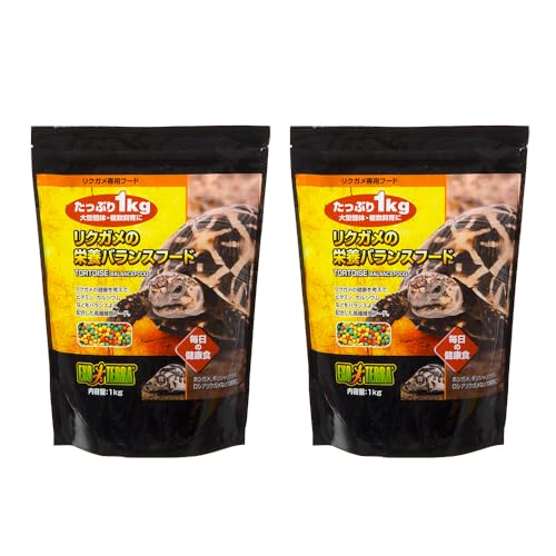 fdw GL]e NK̉h{oXt[h P×Q