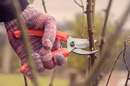 Conjunto de Tesoura de Poda e Tesoura para Cerca-Viva/Grama Tramontina 2 Peças