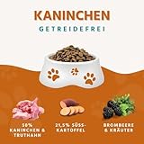 Wildfang® Hundefutter - Trocken - Getreidefreies Hundefutter - Premium Trockenfutter (2 kg, Adult Kaninchen)