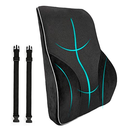 KINOTO Cojín Lumbar Silla Oficina Respaldo,Lumbar Coche con Esponja Memoria, Apoye Cómodamente La Espalda para Liberar estrés Descansar y Evitar Malas posturas (Terciopelo)