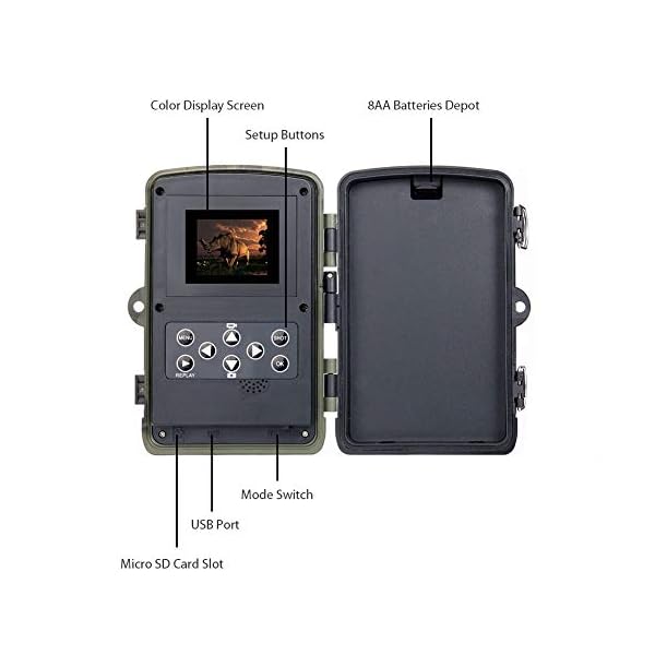 ZUHANGMENG Wildlife Trail Kamera, Jagdspur Kamera IP65 wasserdicht, 0,3s Auslösezeit 940nm Wildkamera 1080P HD Kamera… – Bild 3